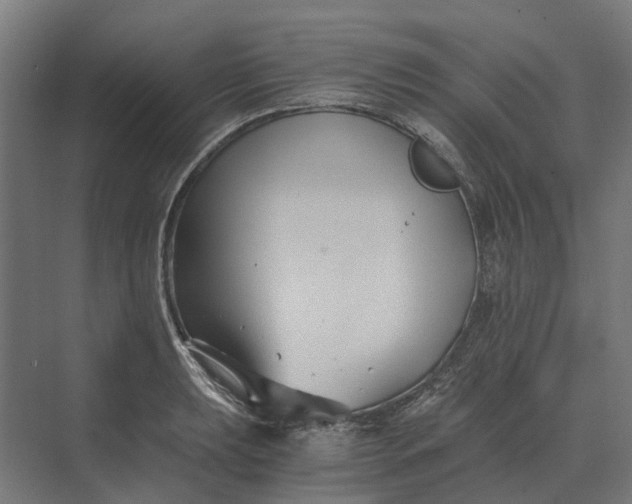 X0000069811039200606021500