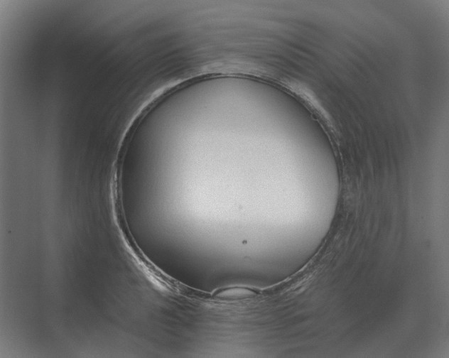 X0000069811040200606021500