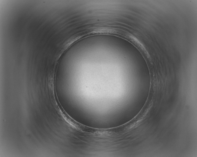 X0000069811041200606021500