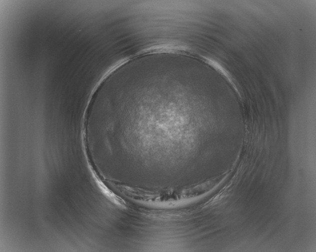 X0000069811042200606021500