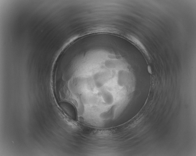 X0000069811043200606021500