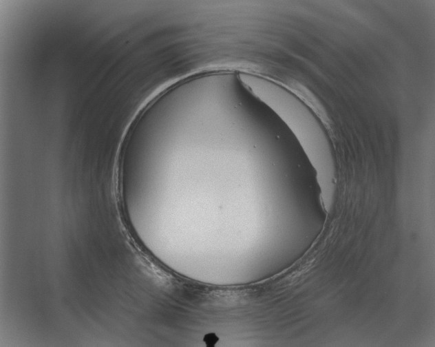 X0000069811044200606021500