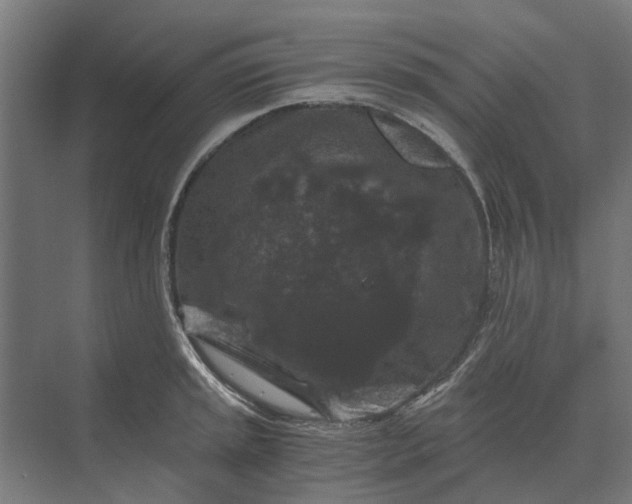 X0000069811045200606021500