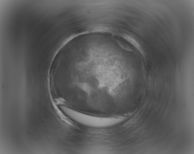 X0000069811047200606021500