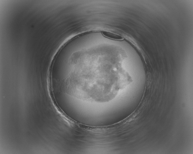 X0000069811048200606021500