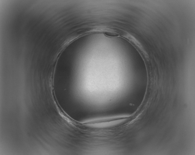 X0000069811049200606021500