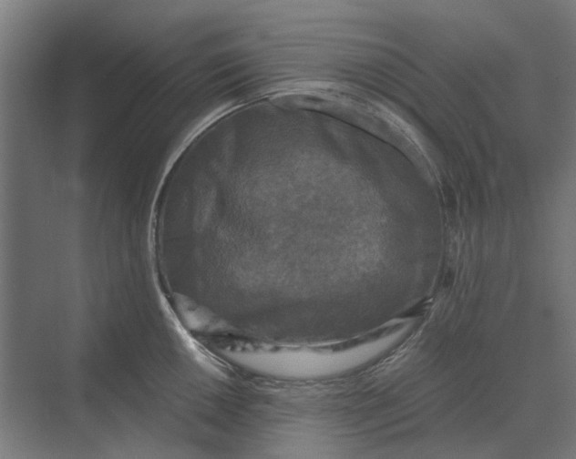 X0000069811050200606021500