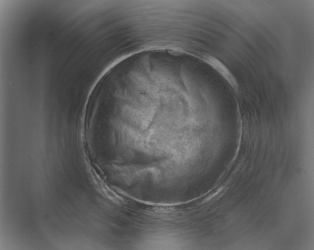 X0000069811052200606021500