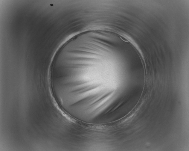 X0000069811053200606021500