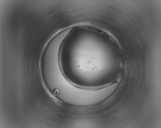 X0000069811054200606021500