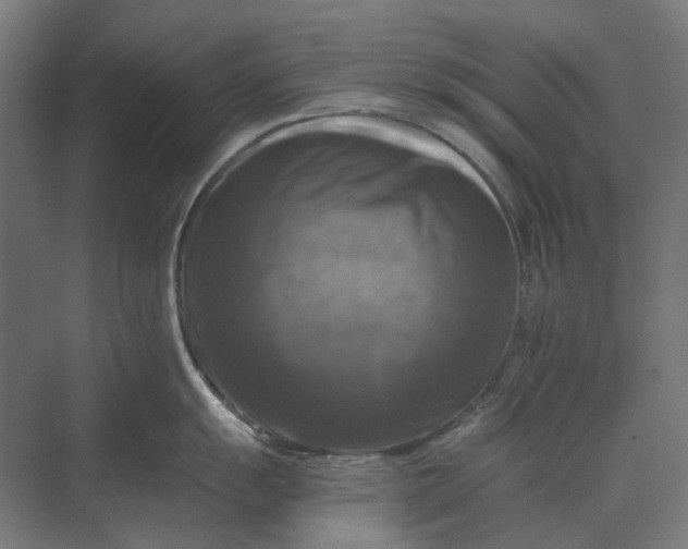 X0000069811055200606021500