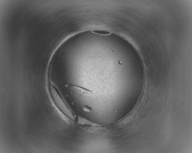 X0000069811056200606021500