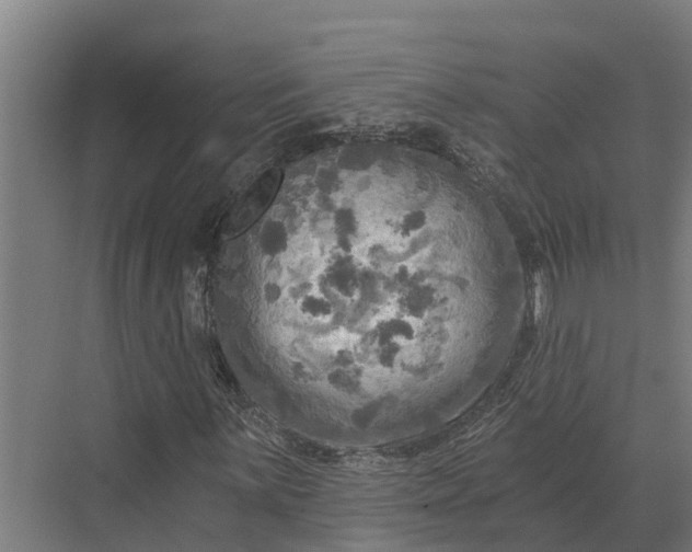 X0000069811059200606021459