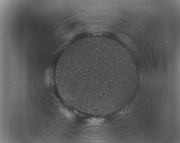 X0000069811060200606021459