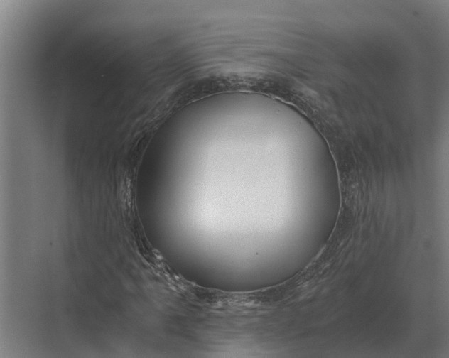 X0000069811061200606021459