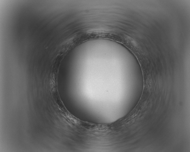 X0000069811062200606021459