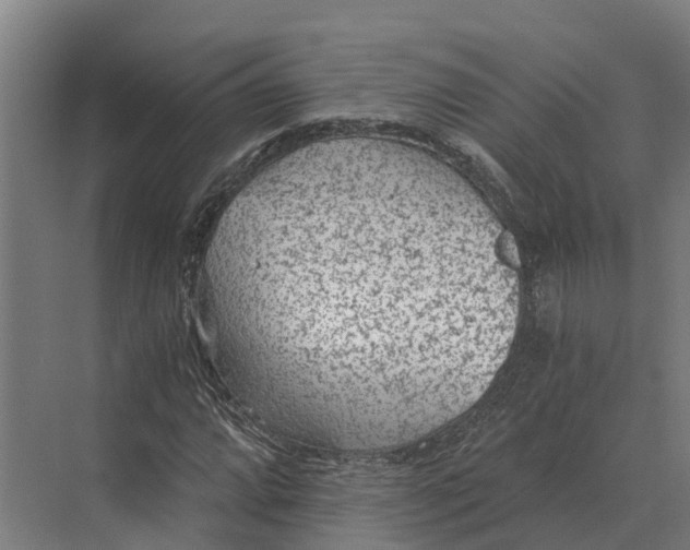 X0000069811064200606021459