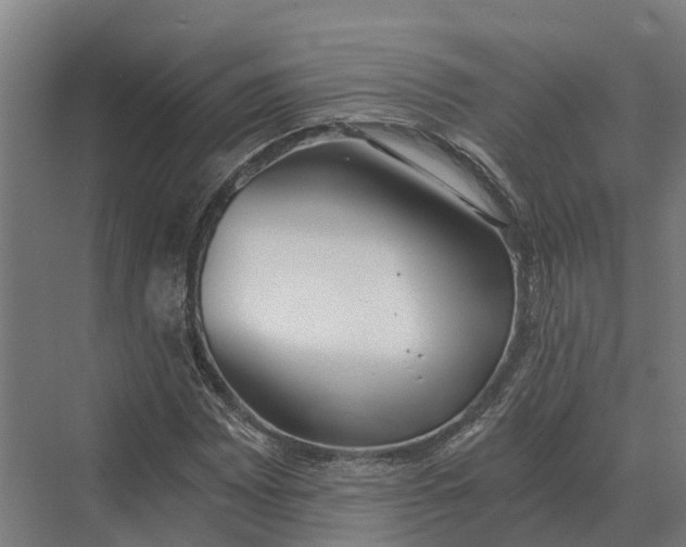 X0000069811065200606021459