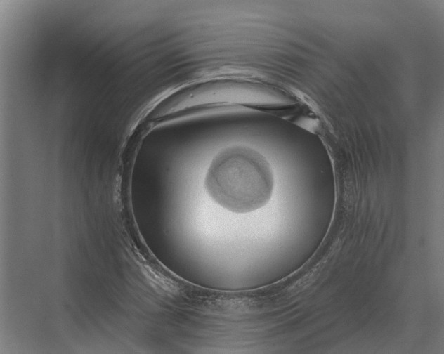 X0000069811066200606021459