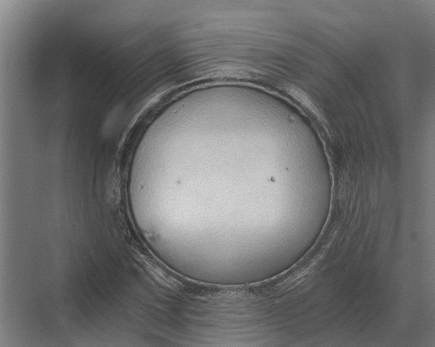 X0000069811067200606021459