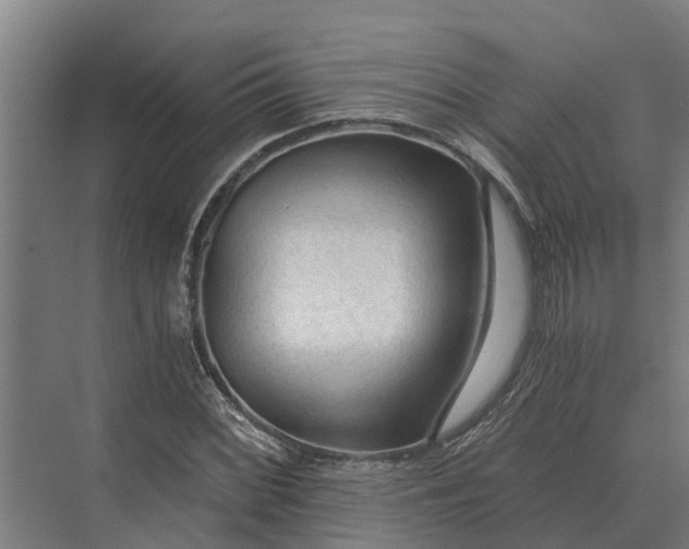 X0000069811068200606021459