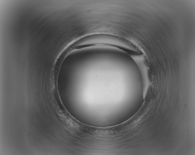 X0000069811069200606021459