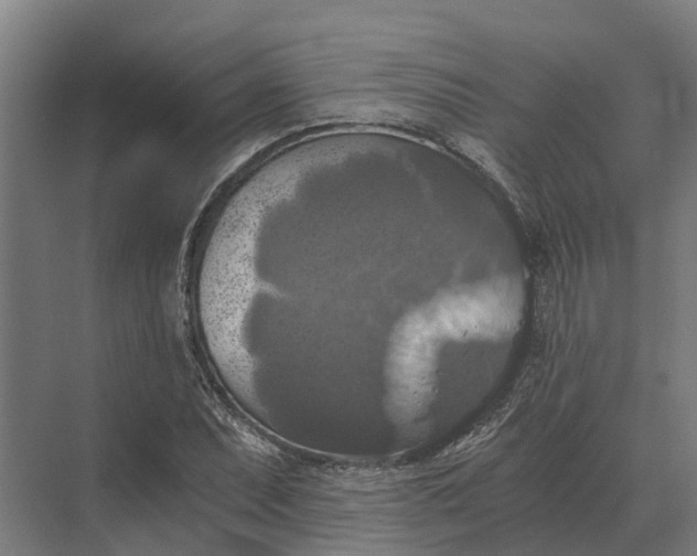 X0000069811071200606021459