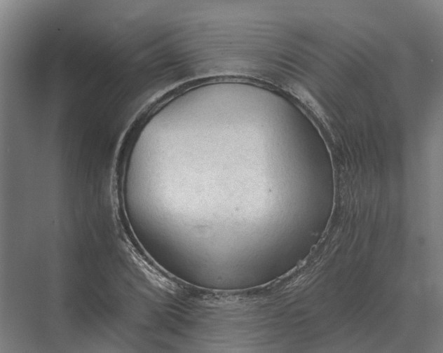 X0000069811072200606021459