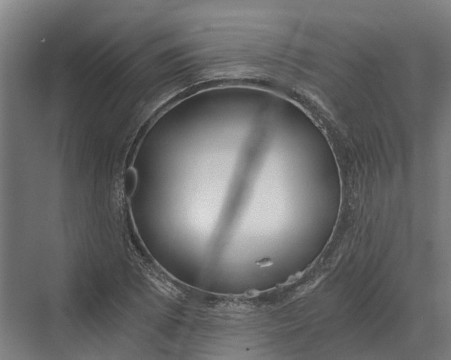 X0000069811073200606021459