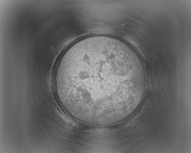 X0000069811074200606021459