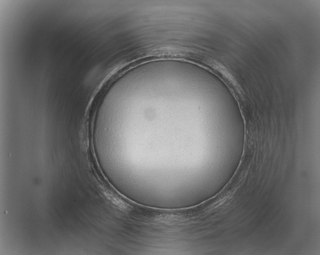 X0000069811075200606021459