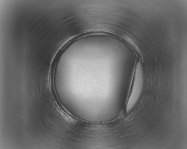 X0000069811076200606021459