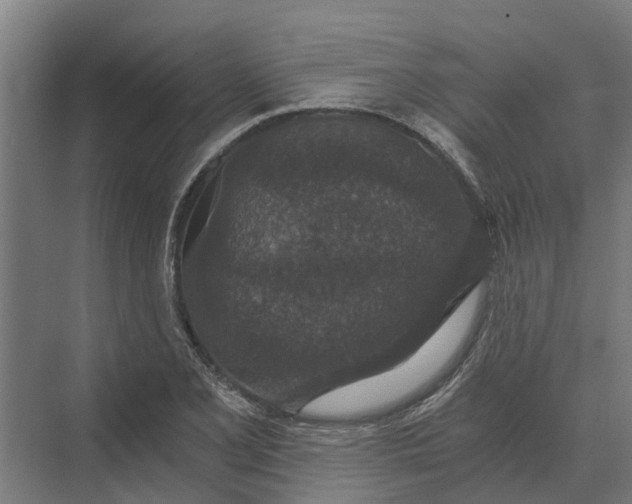 X0000069811077200606021459