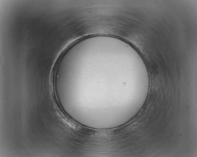 X0000069811078200606021459