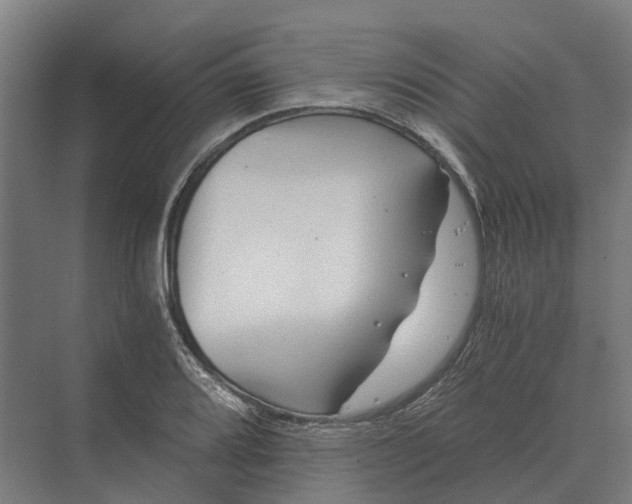 X0000069811080200606021459