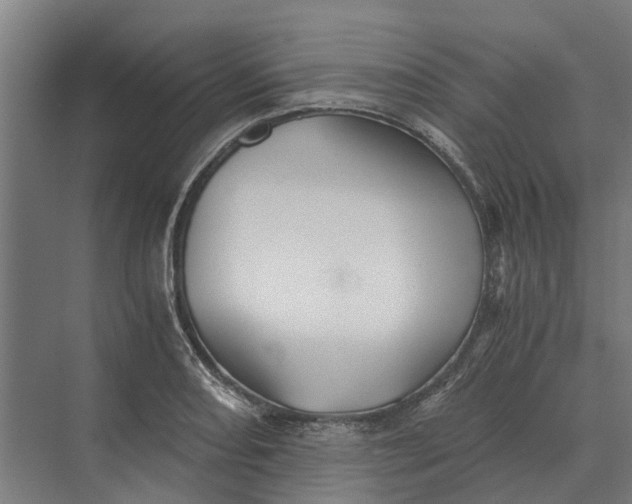 X0000069811082200606021459