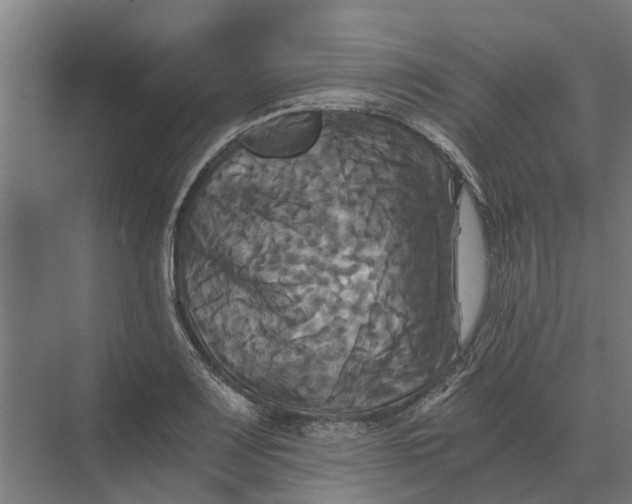 X0000069811083200606021459