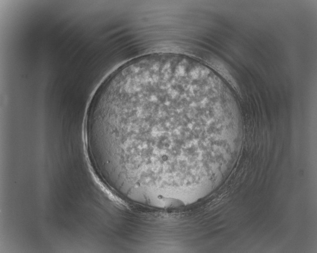 X0000069811084200606021459