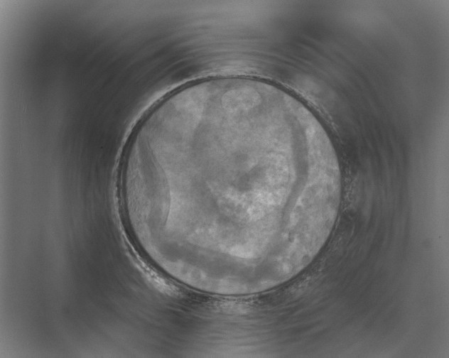 X0000069811086200606021459