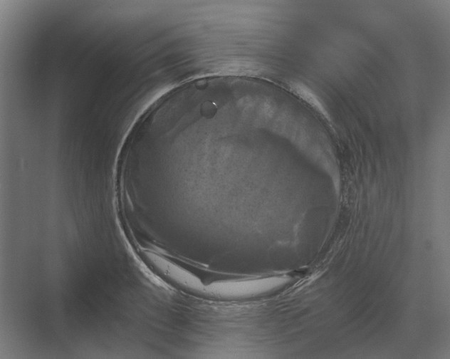 X0000069811087200606021459