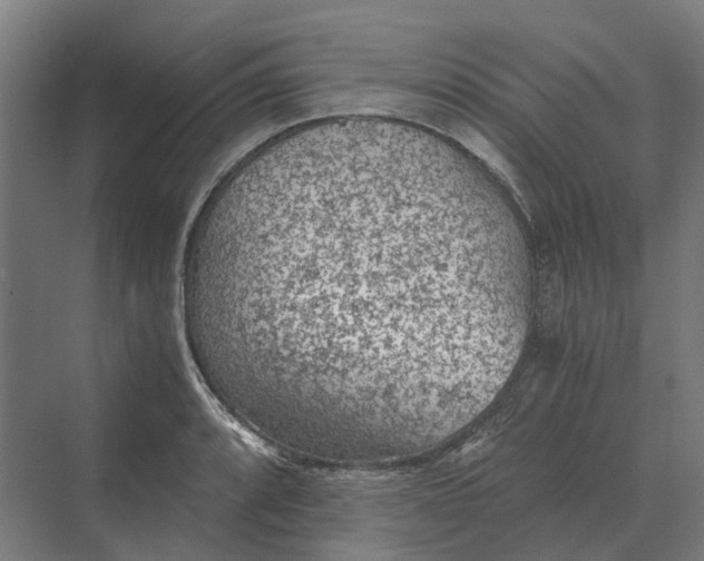 X0000069811088200606021459