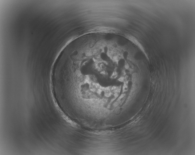 X0000069811091200606021459