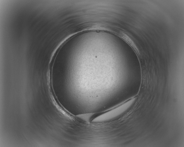 X0000069811092200606021459