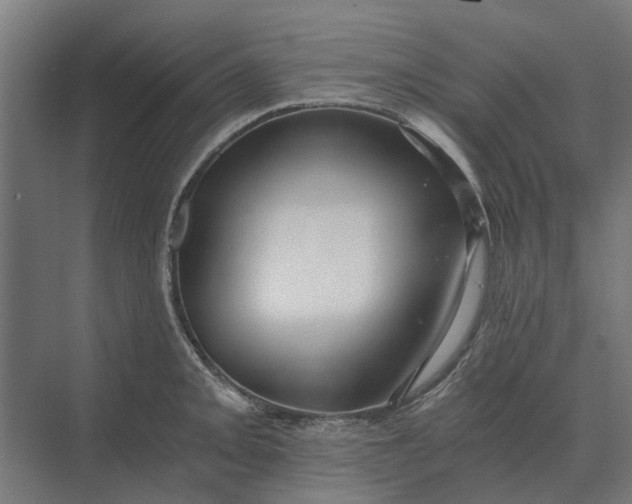 X0000069811093200606021459