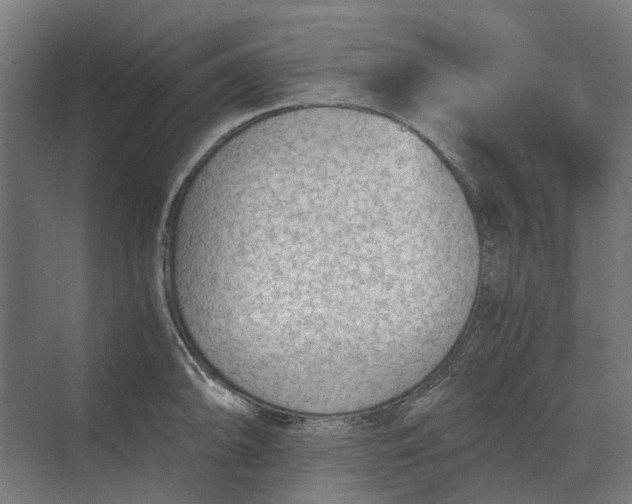 X0000069811094200606021459