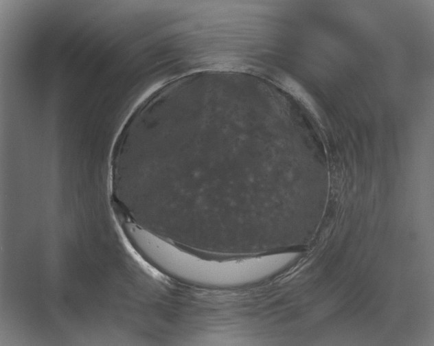 X0000069811095200606021459