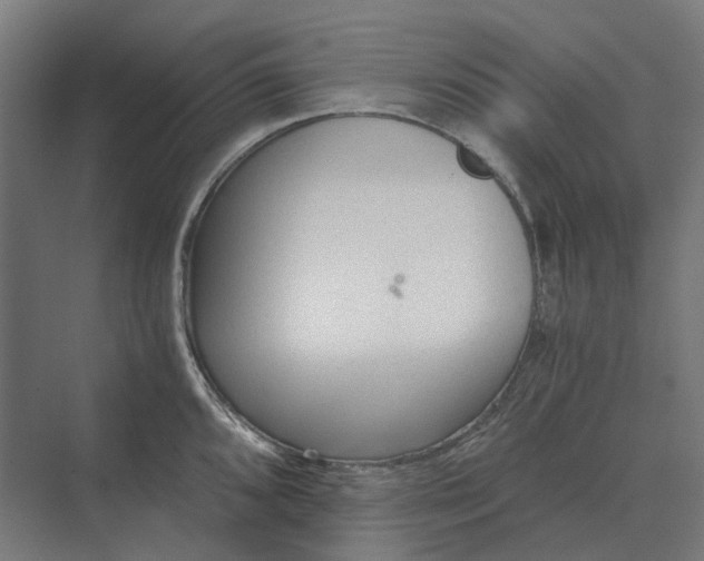 X0000069811096200606021459