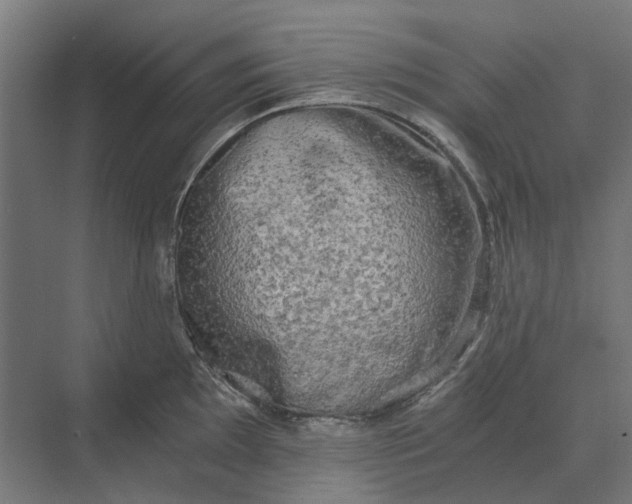 X0000069811097200606021459