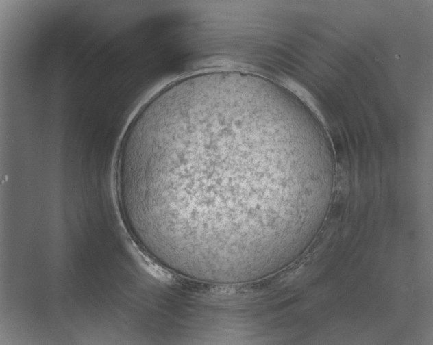 X0000069811098200606021459