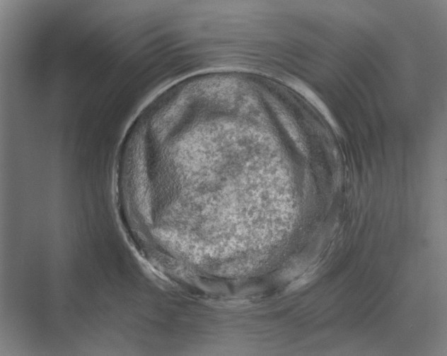 X0000069811101200606021459